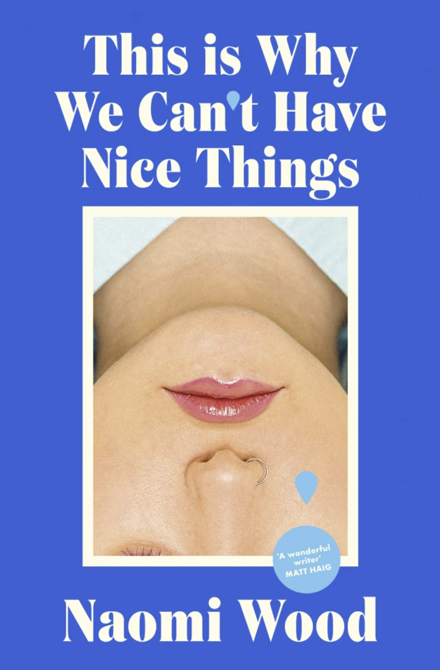This is Why We Cant Have Nice Things by Naomi Wood