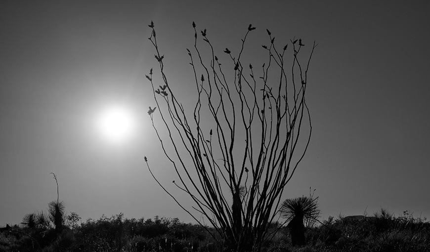 Ann-Levin-Blog-The-God-Thing-2 The God Thing 2, Photo by Stan Honda